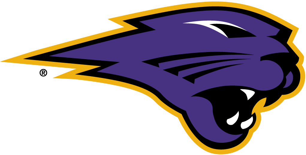 Northern Iowa Panthers 2002-Pres Partial Logo v4 iron on transfers for clothing